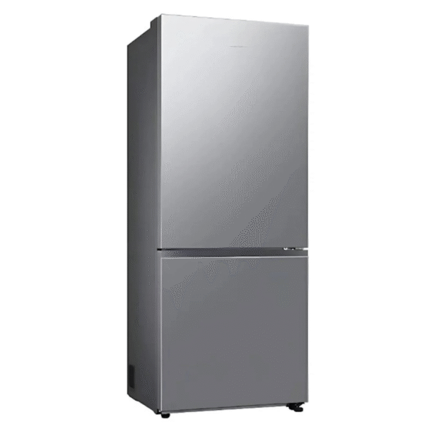 Soyuducu Samsung RB50DG602ES9WT